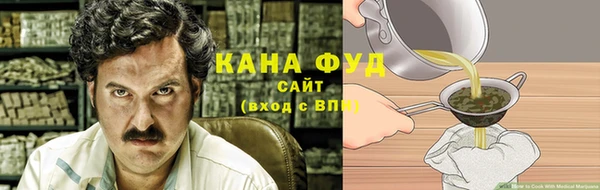 хмурый Алзамай