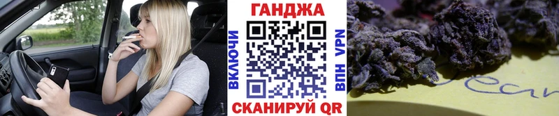 Каннабис планчик купить закладку Новочеркасск